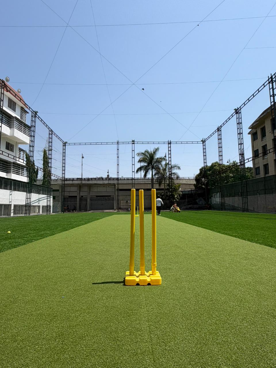 Cricket nets on the school playground